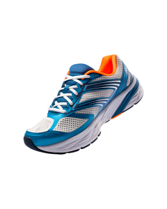 Sports Shoes